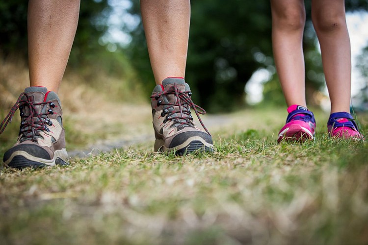 Circuit du Moulin de Peltré - LA ROUXIERE (Loireauxence)