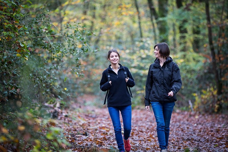Circuit du Moulin de Peltré - LA ROUXIERE (Loireauxence)