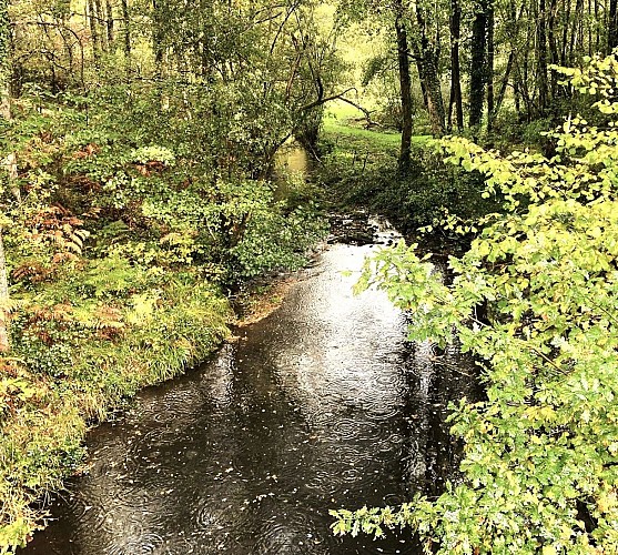 SAINT-JORY-DE-CHALAIS-Boucle du Pont Vieux-Rivière
