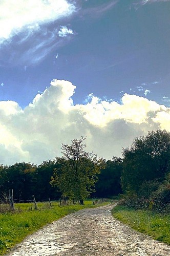 SAINT-JORY-DE-CHALAIS-Boucle de la Mauroussie-Chemin