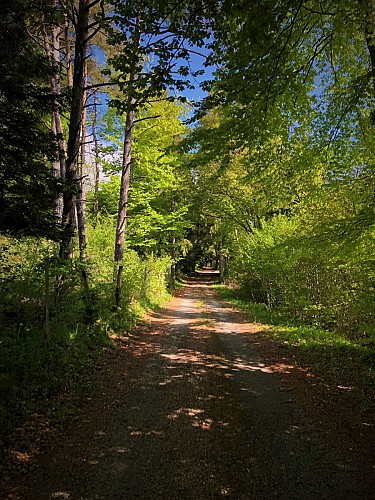 Grandes Traversées du Jura Gravel