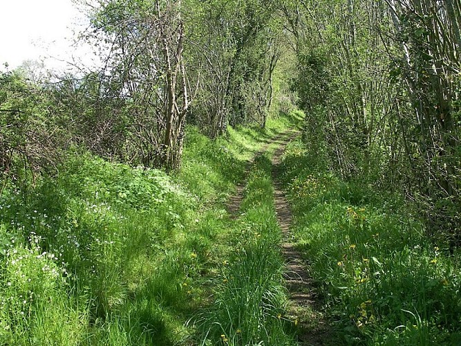 Chemin de la Motte aux Friches