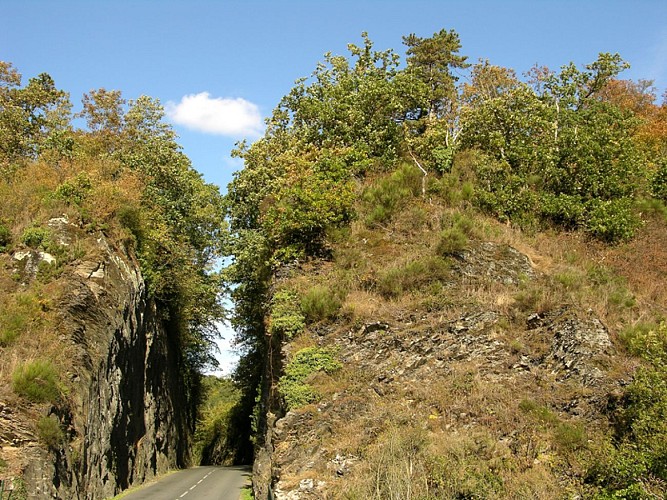 Tranchée du Hom ThuryHarcourt - Les Trois Châteaux