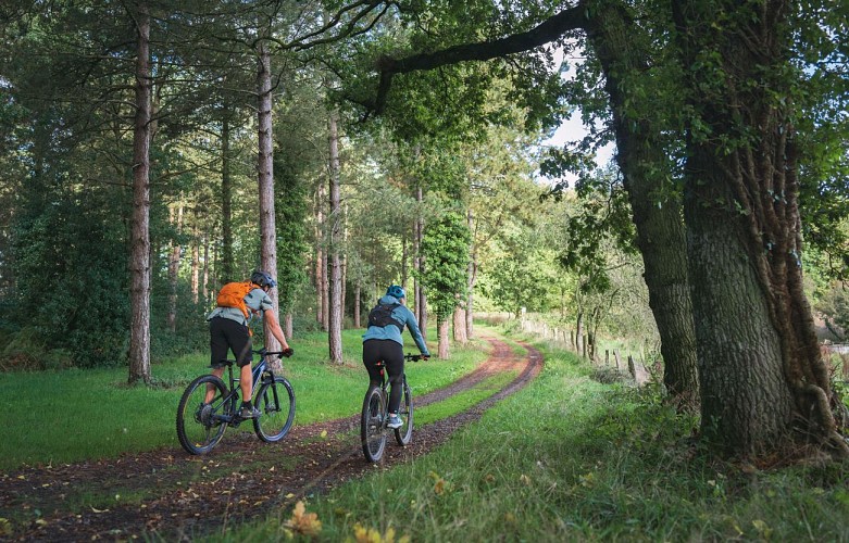 241008-1117-VTT-Trail-SuisseNormande-A1L00452©le7emeStudio.fr