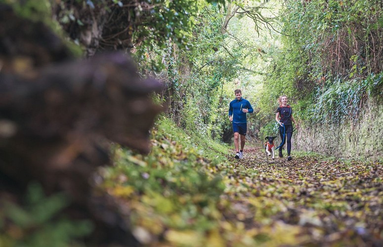 241017-1029-otns-trail-A1L01360©le7emeStudio.fr