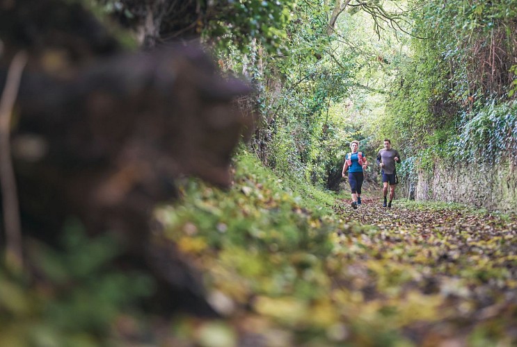 241017-1029-otns-trail-A1L01380©le7emeStudio.fr