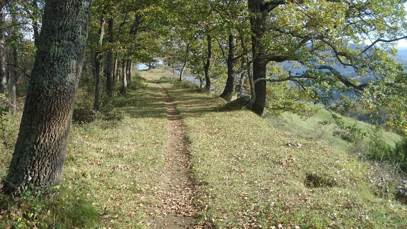 sentier des crêtes du Plantaurel