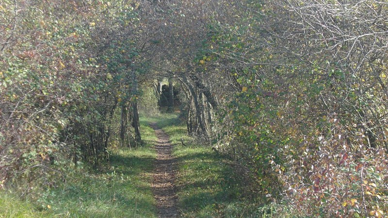 sentier des crêtes du Plantaurel
