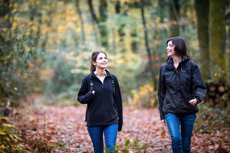 Circuit du Moulin de la Challoire - ST HERBLON (Vair-sur-Loire)