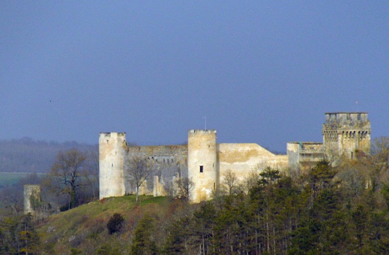Le château des Comtes d"Auxerre