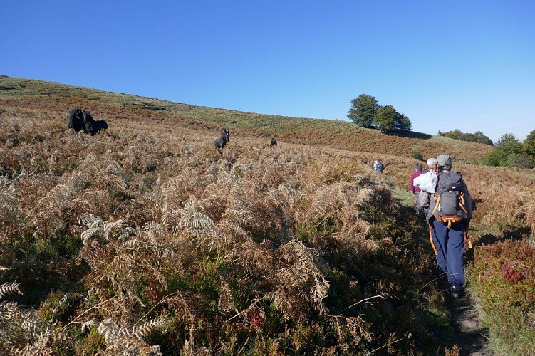 Montée sur le Mont Fourcat