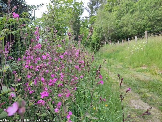 Circuit VTT n°2 De La Geneytouse à Saint-Léonard-de-Noblat