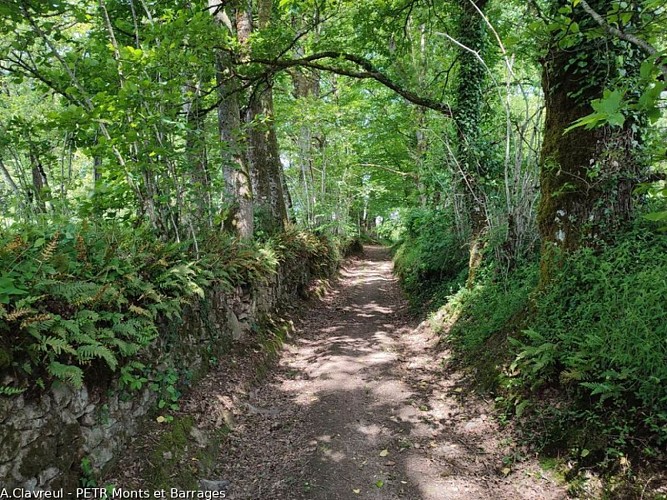 Circuit VTT n°2 De La Geneytouse à Saint-Léonard-de-Noblat