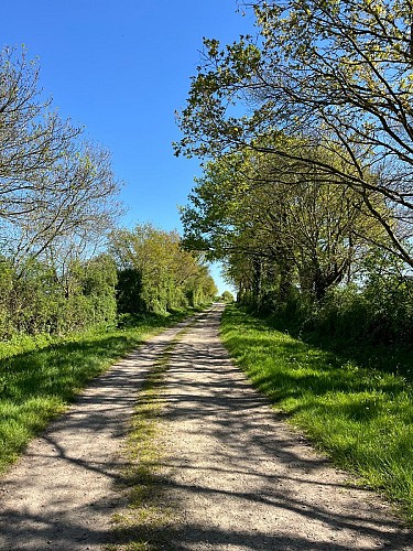 Chemin des Marionnières