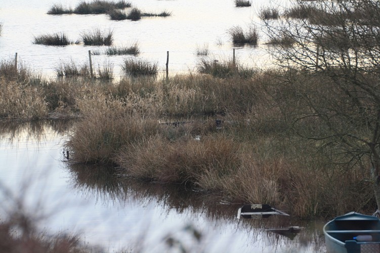 Sentier Terre - Brière