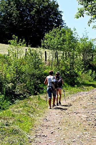 Circuit pédestre  " Le sentier des Epoissets" - Ecromagny - Vosges du sud