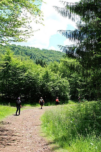 Circuit pédestre  " Le sentier des Epoissets" - Ecromagny - Vosges du sud