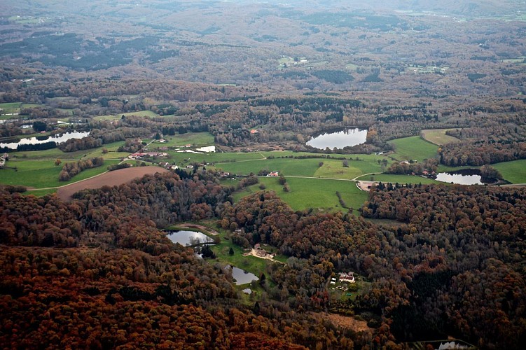 Circuit pédestre "La croix des Danses" - Saint-Bresson - Vosges du sud