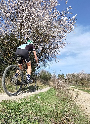 MTB Nr. 10 -  Entdeckung der Pernois-Hügel