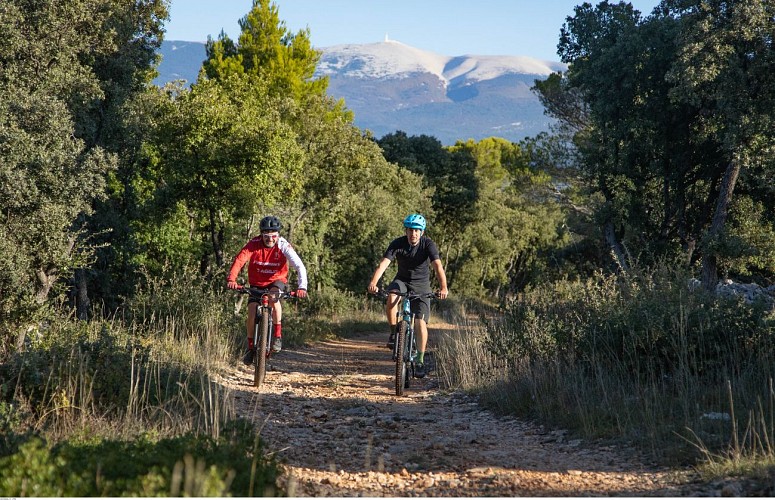 VTT n°13 - Aux portes de la Nesque