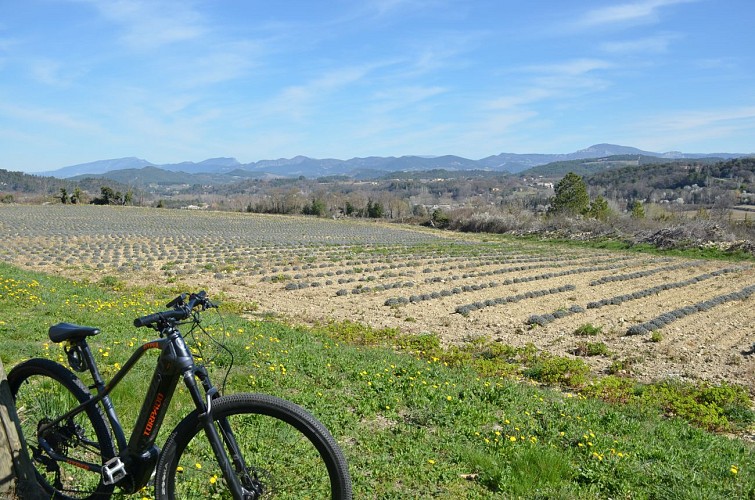 VTT n°19 - Le tour des Abbayes