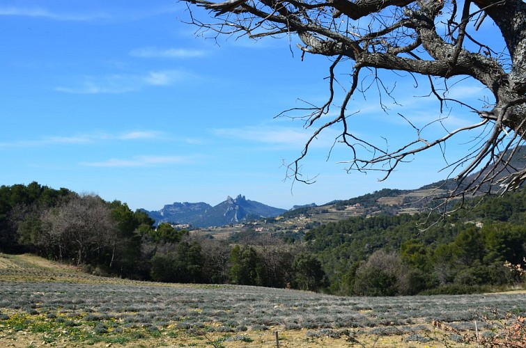VTT n°19 - Le tour des Abbayes