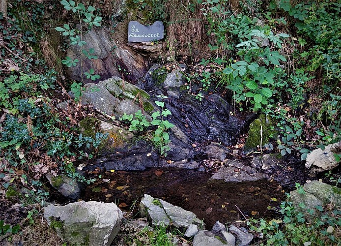 Fontaine Mauricette