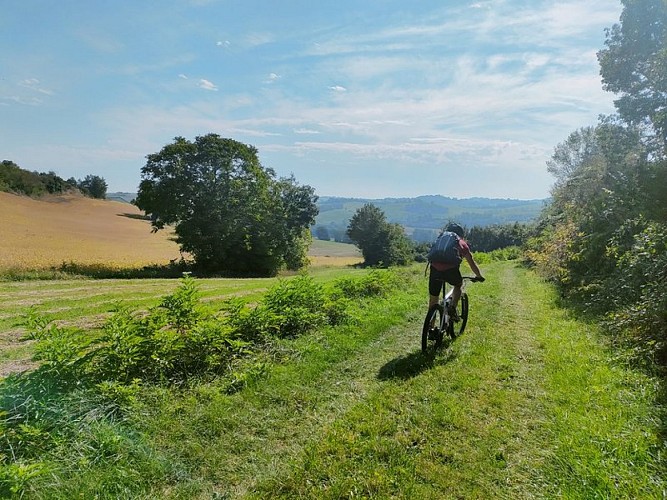 N°6 Bleu: Vallée de la Gesse et de Larjo