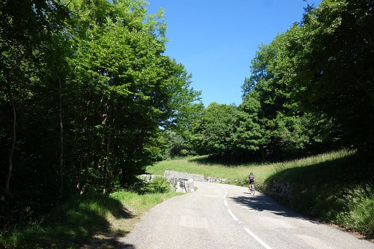 Tour de la Dent du chat