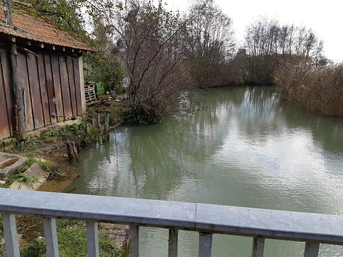 Bois de Fougemagne - Vallées Solnan - Sevron