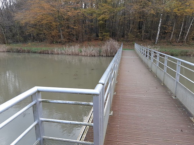 Bois de Fougemagne - Vallées Solnan - Sevron