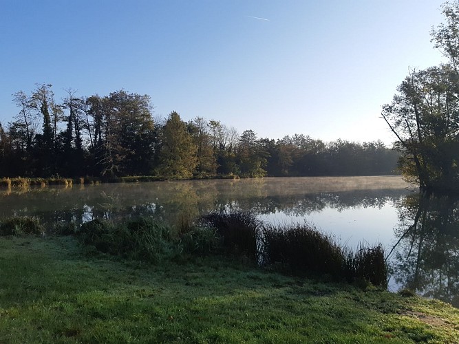 Viriat - Plan d'eau de Champataule - Bois de But