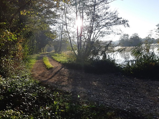 Viriat - Plan d'eau de Champataule - Bois de But