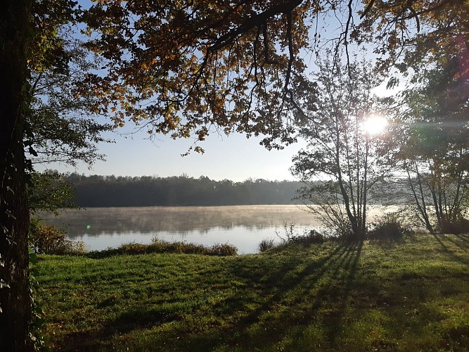 Viriat - Plan d'eau de Champataule - Bois de But