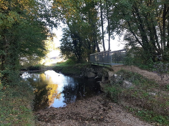 Viriat - Plan d'eau de Champataule - Bois de But