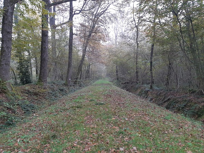 Villemotier - Poype de la Griffonnière