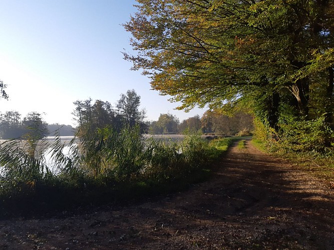 Viriat - Plan d'eau de Champataule - Bois de But