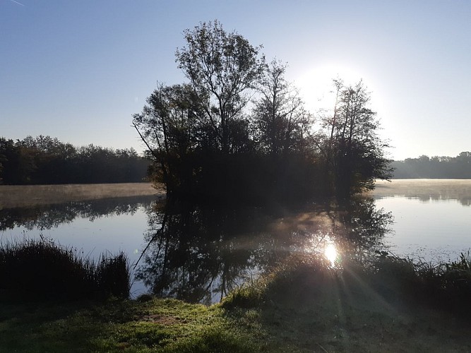 Viriat - Plan d'eau de Champataule - Bois de But