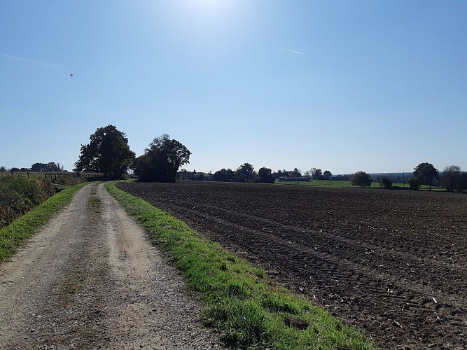 Viriat - Plan d'eau de Champataule - Bois de But