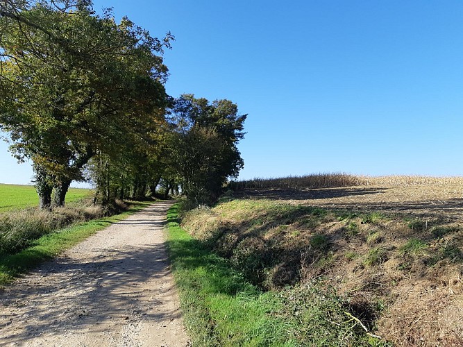 Viriat - Plan d'eau de Champataule