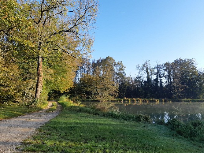 Viriat - Tour du plan d'eau de Champataule