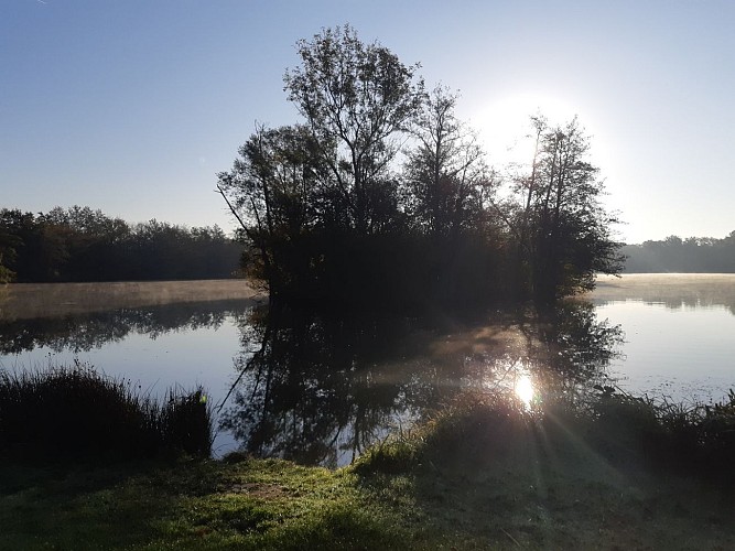 Viriat - Tour du plan d'eau de Champataule