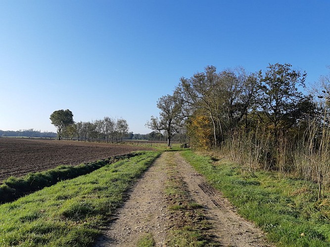 Attignat - Confluence de la Reyssouze et du Jugnon