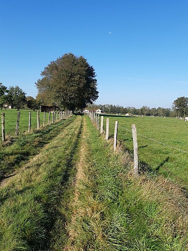 Attignat - Confluence de la Reyssouze et du Jugnon