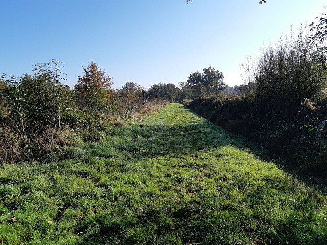 Attignat - Confluence de la Reyssouze et du Jugnon