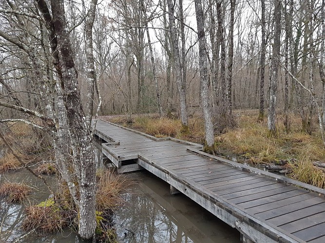 Bresse Vallons - Cras et l'étang Bizadan