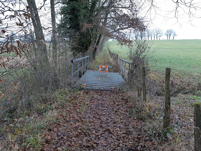 Bresse Vallons - Cras et l'étang Bizadan