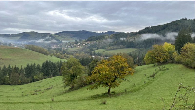 Allières vers st Cyr le Chatoux