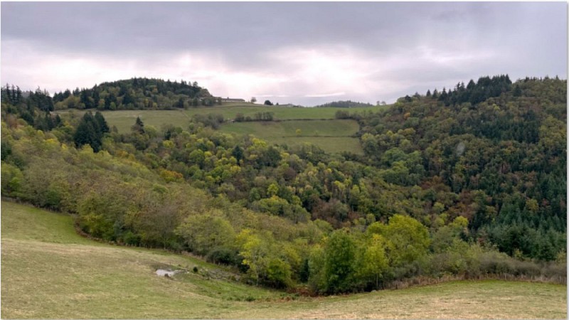 Allières vers st Cyr le Chatoux