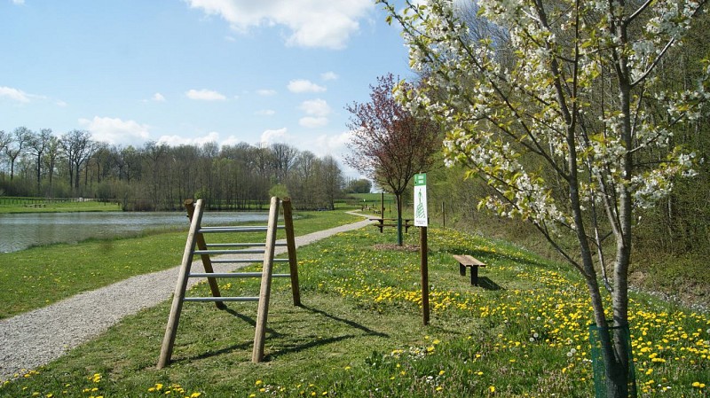 Parcours santé Bruailles